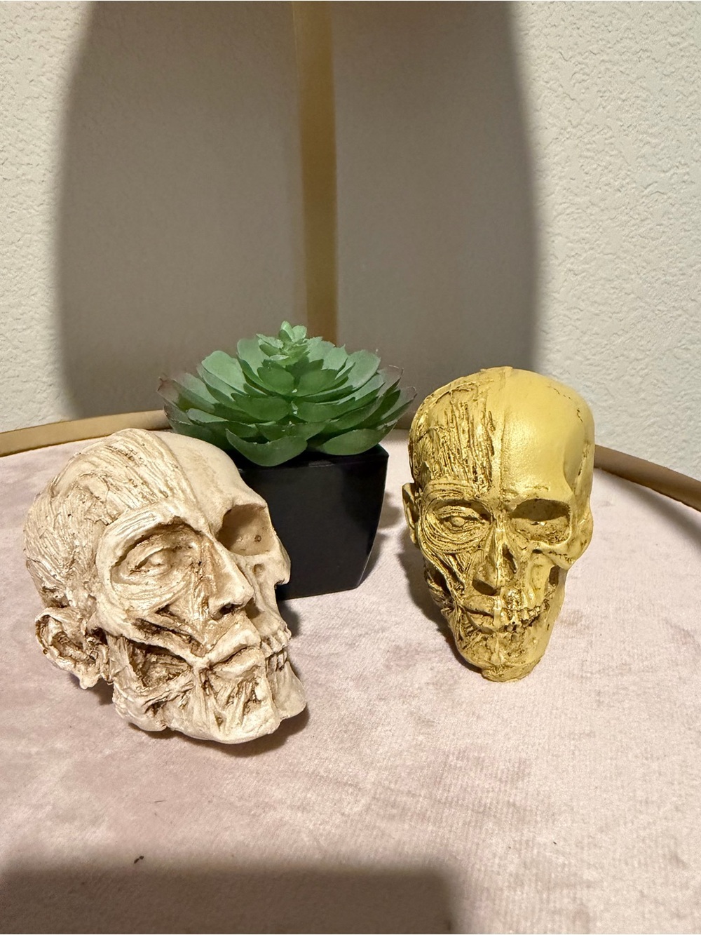 Cadaver Skull Set of Two